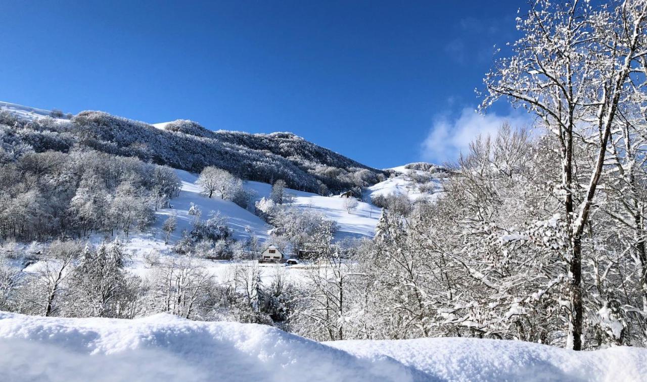 L'Escoundillou Otel Saint-Jacques-des-Blats Dış mekan fotoğraf